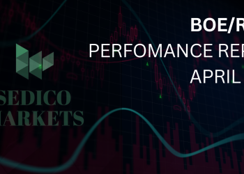 BOERBNZ Analysis
