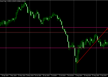 UPDATE ON NZDCHF FORECAST FROM 11 AUGUST 2024 TO SEPTEMBER 30th